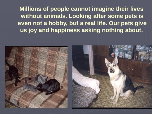 Millions of people cannot imagine their lives  without animals. Looking after some pets is even not a hobby, but a real life. Our pets give us joy and happiness asking nothing about. 