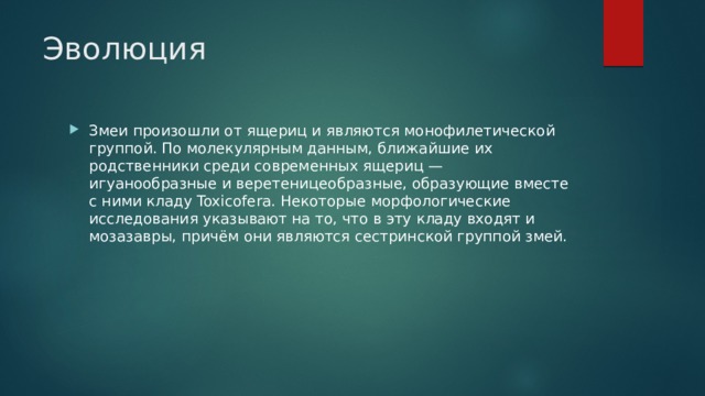 Эволюция Змеи произошли от ящериц и являются монофилетической группой. По молекулярным данным, ближайшие их родственники среди современных ящериц — игуанообразные и веретеницеобразные, образующие вместе с ними кладу Toxicofera. Некоторые морфологические исследования указывают на то, что в эту кладу входят и мозазавры, причём они являются сестринской группой змей. 