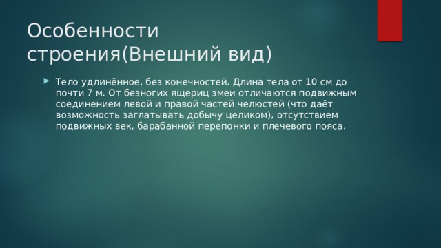 Особенности строения(Внешний вид) Тело удлинённое, без конечностей. Длина тела от 10 см до почти 7 м. От безногих ящериц змеи отличаются подвижным соединением левой и правой частей челюстей (что даёт возможность заглатывать добычу целиком), отсутствием подвижных век, барабанной перепонки и плечевого пояса. 