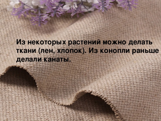 Из некоторых растений можно делать ткани (лен, хлопок). Из конопли раньше делали канаты. 