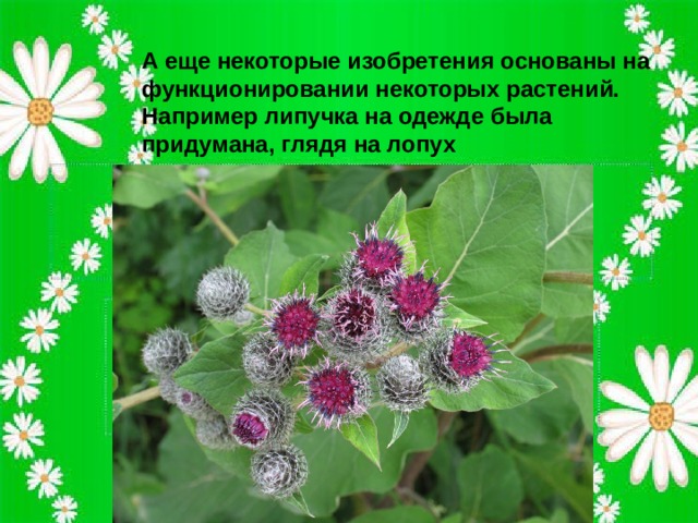 А еще некоторые изобретения основаны на функционировании некоторых растений. Например липучка на одежде была придумана, глядя на лопух 