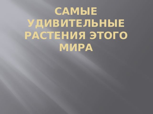 Самые удивительные растения этого мира 