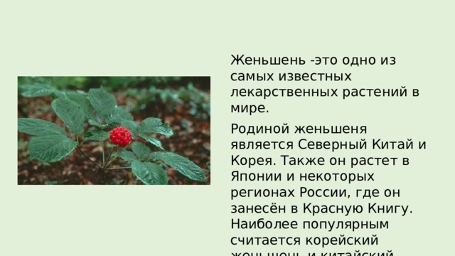 Женьшень -это одно из самых известных лекарственных растений в мире. Родиной женьшеня является Северный Китай и Корея. Также он растет в Японии и некоторых регионах России, где он занесён в Красную Книгу. Наиболее популярным считается корейский женьшень и китайский. 