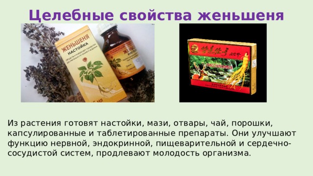 Целебные свойства женьшеня Из растения готовят настойки, мази, отвары, чай, порошки, капсулированные и таблетированные препараты. Они улучшают функцию нервной, эндокринной, пищеварительной и сердечно-сосудистой систем, продлевают молодость организма. 