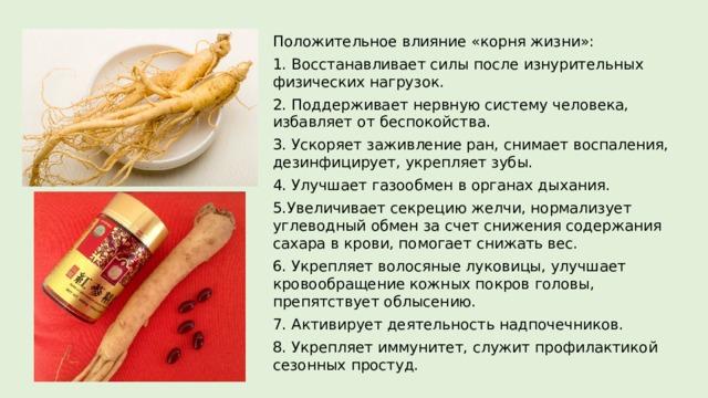 Положительное влияние «корня жизни»: 1. Восстанавливает силы после изнурительных физических нагрузок. 2. Поддерживает нервную систему человека, избавляет от беспокойства. 3. Ускоряет заживление ран, снимает воспаления, дезинфицирует, укрепляет зубы. 4. Улучшает газообмен в органах дыхания. 5.Увеличивает секрецию желчи, нормализует углеводный обмен за счет снижения содержания сахара в крови, помогает снижать вес. 6. Укрепляет волосяные луковицы, улучшает кровообращение кожных покров головы, препятствует облысению. 7. Активирует деятельность надпочечников. 8. Укрепляет иммунитет, служит профилактикой сезонных простуд. 