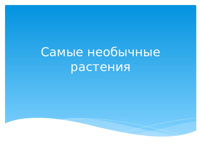 Самые необычные растения 
