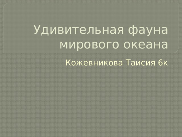 Удивительная фауна мирового океана Кожевникова Таисия 6к 