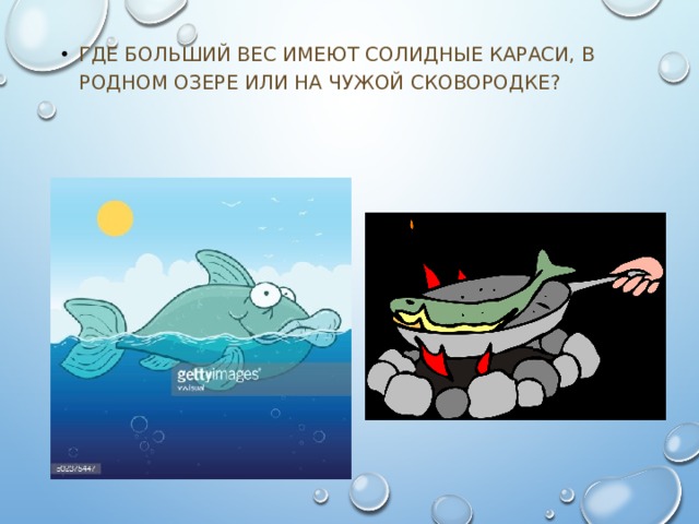 ГДЕ БОЛЬШИЙ ВЕС ИМЕЮТ СОЛИДНЫЕ КАРАСИ, В РОДНОМ ОЗЕРЕ ИЛИ НА ЧУЖОЙ СКОВОРОДКЕ? 