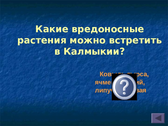 Какие вредоносные растения можно встретить в Калмыкии?  Ковыль тырса, ячмень заячий, липучка ежовая 