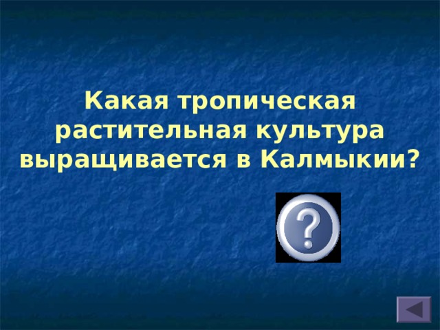 Какая тропическая растительная культура выращивается в Калмыкии?  Рис 