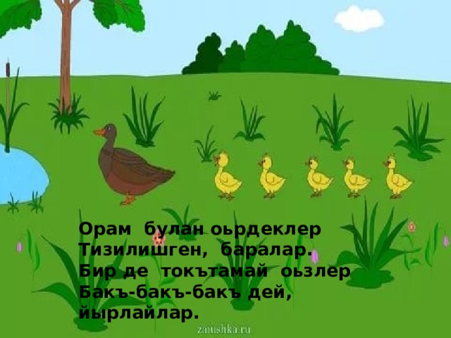 Орам булан оьрдеклер Тизилишген, баралар. Бир де токътамай оьзлер Бакъ-бакъ-бакъ дей, йырлайлар. 