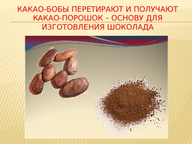 Какао-бобы перетирают и получают какао-порошок – основу для изготовления шоколада 