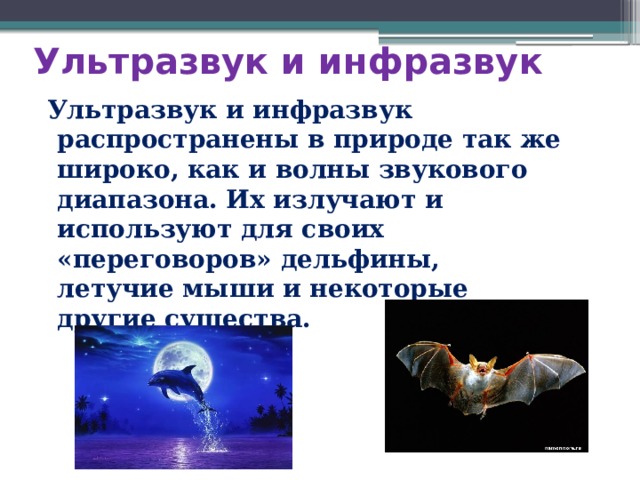 Ультразвук и инфразвук  Ультразвук и инфразвук распространены в природе так же широко, как и волны звукового диапазона. Их излучают и используют для своих «переговоров» дельфины, летучие мыши и некоторые другие существа. 