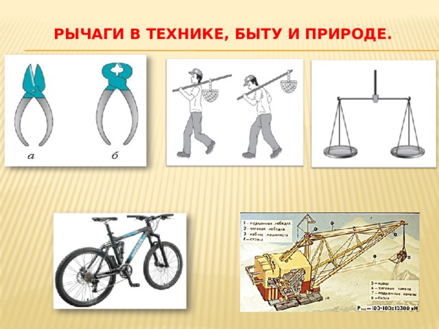 Рычаги в технике, быту и природе.   