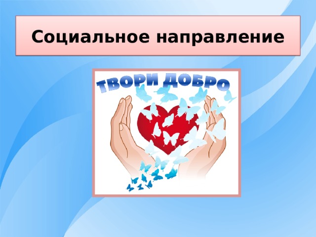 Социальное направление 