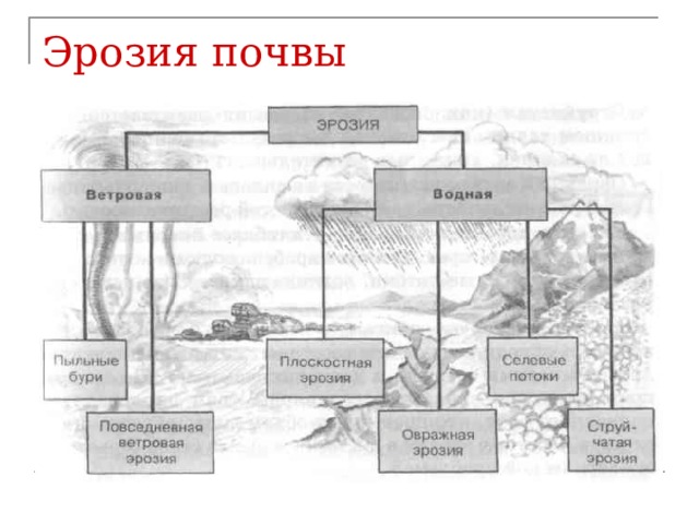 Эрозия почвы 