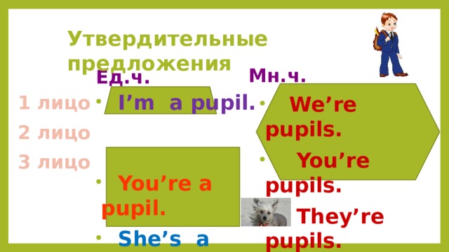  Утвердительные предложения Мн.ч. Ед.ч.  I’m a pupil.   You’re a pupil.   She’s a pupil.  He’s a pupil.   It’s a dog. 1 лицо  We’re pupils.  You’re pupils.  They’re pupils. 2 лицо 3 лицо  