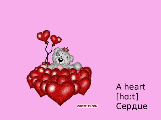 A heart [hɑːt] Сердце 