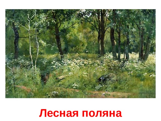 Лесная поляна 