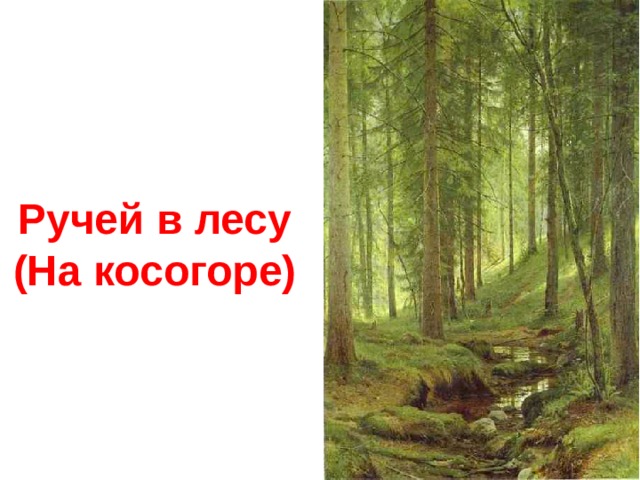 Ручей в лесу (На косогоре) 