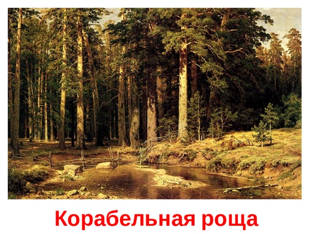 Корабельная  роща 