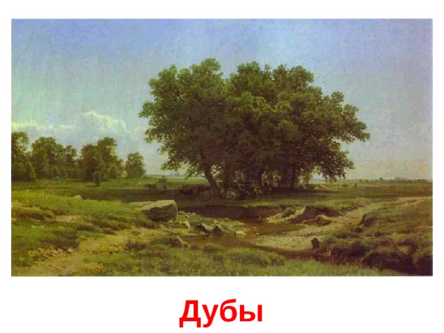 Дубы 