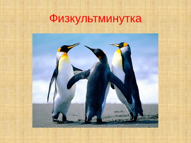 Физкультминутка 