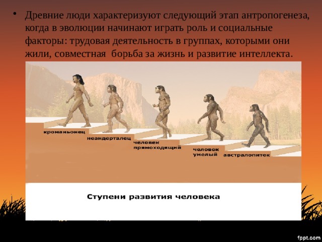 Древние люди характеризуют следующий этап антропогенеза, когда в эволюции начинают играть роль и социальные факторы: трудовая деятельность в группах, которыми они жили, совместная  борьба за жизнь и развитие интеллекта. 