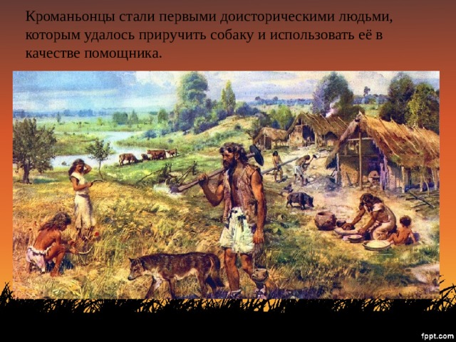 Кроманьонцы стали первыми доисторическими людьми, которым удалось приручить собаку и использовать её в качестве помощника. 