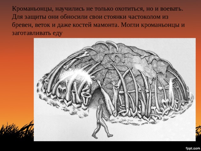 Кроманьонцы, научились не только охотиться, но и воевать. Для защиты они обносили свои стоянки частоколом из бревен, веток и даже костей мамонта. Могли кроманьонцы и заготавливать еду 