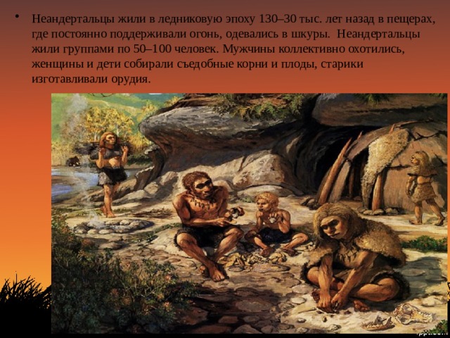 Неандертальцы жили в ледниковую эпоху 130–30 тыс. лет назад в пещерах, где постоянно поддерживали огонь, одевались в шкуры. Неандертальцы жили группами по 50–100 человек. Мужчины коллективно охотились, женщины и дети собирали съедобные корни и плоды, старики изготавливали орудия. 