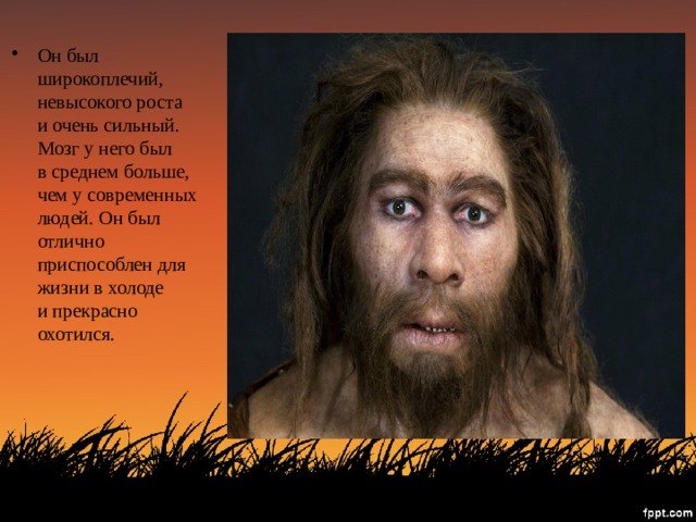 Он был широкоплечий, невысокого роста и очень сильный. Мозг у него был в среднем больше, чем у современных людей. Он был отлично приспособлен для жизни в холоде и прекрасно охотился. 