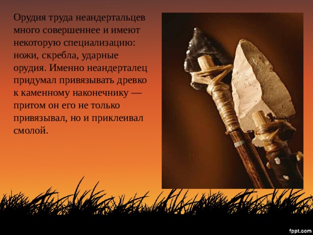 Орудия труда неандертальцев много совершеннее и имеют некоторую специализацию: ножи, скребла, ударные орудия. Именно неандерталец придумал привязывать древко к каменному наконечнику — притом он его не только привязывал, но и приклеивал смолой. 