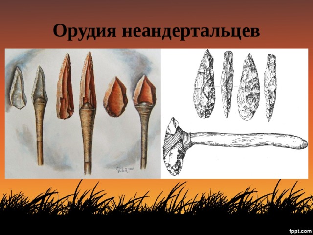 Орудия неандертальцев 