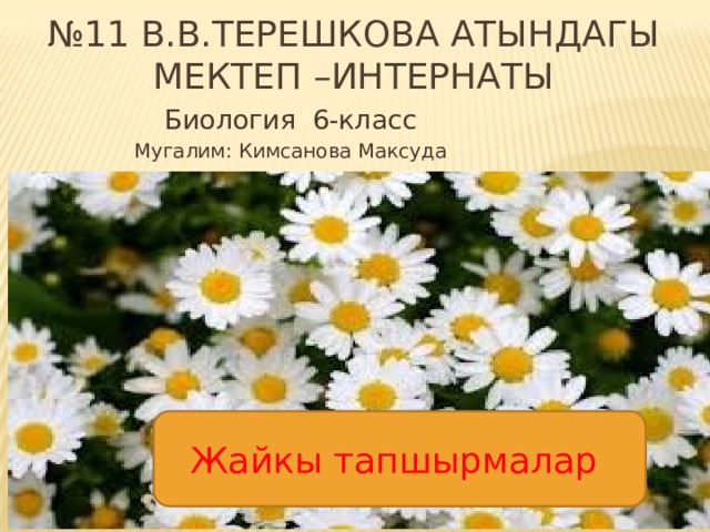 № 11 В.В.Терешкова атындагы мектеп –интернаты Биология 6-класс Мугалим: Кимсанова Максуда Жайкы тапшырмалар 