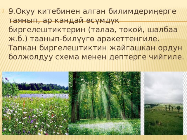 9.Окуу китебинен алган билимдериңерге таянып, ар кандай өсүмдүк биргелештиктерин (талаа, токой, шалбаа ж.б.) таанып-билүүгө аракеттенгиле. Тапкан биргелештиктин жайгашкан ордун болжолдуу схема менен дептерге чийгиле. 