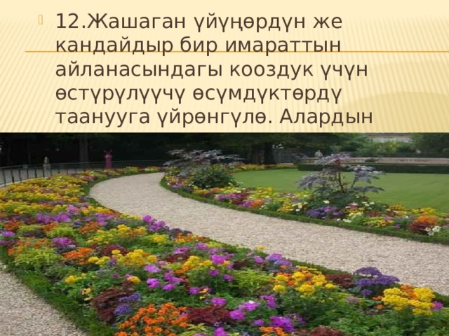 12.Жашаган үйүңөрдүн же кандайдыр бир имараттын айланасындагы кооздук үчүн өстүрүлүүчү өсүмдүктөрдү таанууга үйрөнгүлө. Алардын тизмесин тиешелүү тукумдарга таандык кылып түзгүлө. 