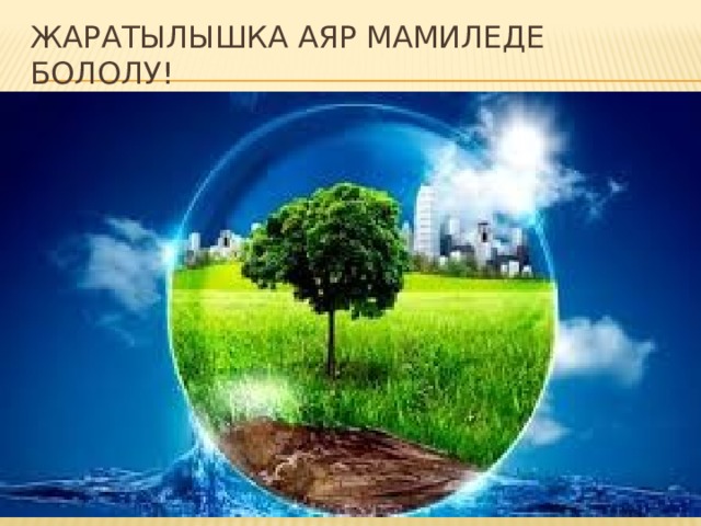 Жаратылышка аяр мамиледе бололу! 