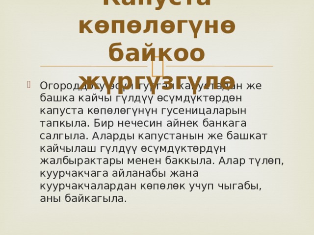 Капуста көпөлөгүнө байкоо жүргүзгүлө Огороддогу өсүп турган капустадан же башка кайчы гүлдүү өсүмдүктөрдөн капуста көпөлөгүнүн гусеницаларын тапкыла. Бир нечесин айнек банкага салгыла. Аларды капустанын же башкат кайчылаш гүлдүү өсүмдүктөрдүн жалбырактары менен баккыла. Алар түлөп, куурчакчага айланабы жана куурчакчалардан көпөлөк учуп чыгабы, аны байкагыла. 