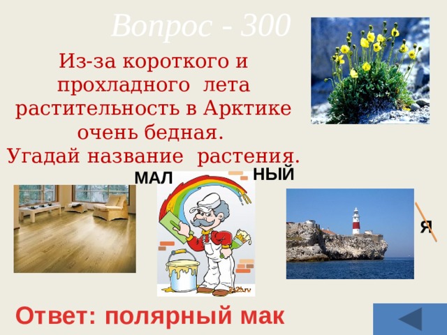 Вопрос - 300 Из-за короткого и прохладного лета растительность в Арктике очень бедная. Угадай название растения. НЫЙ МАЛ Я Ответ: полярный мак 