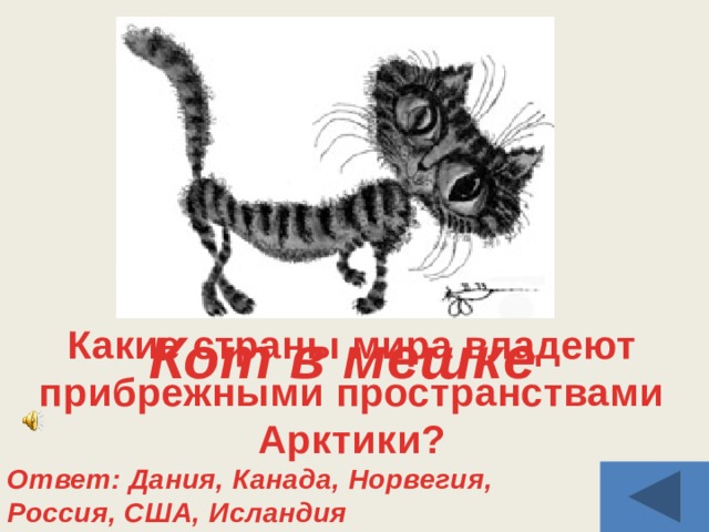 Кот в мешке Какие страны мира владеют прибрежными пространствами Арктики? Ответ: Дания, Канада, Норвегия, Россия, США, Исландия 