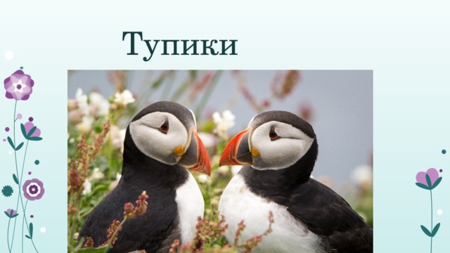  Тупики 