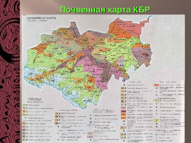 Почвенная карта КБР Размещение главных типов почв показано на почвенной карте. 
