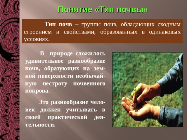 Понятие «Тип почвы»  Тип почв – группы почв, обладающих сходным строением и свойствами, образованных в одинаковых условиях.  В природе сложилось удивительное разнообразие почв, образующих на зем-ной поверхности необычай-ную пестроту почвенного покрова.  Это разнообразие чело-век должен учитывать в своей практической дея-тельности. 