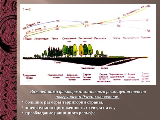 Важнейшими факторами зонального размещения почв по поверхности России являются:   большие размеры территории страны,  значительная протяженность с севера на юг,  преобладание равнинного рельефа. 