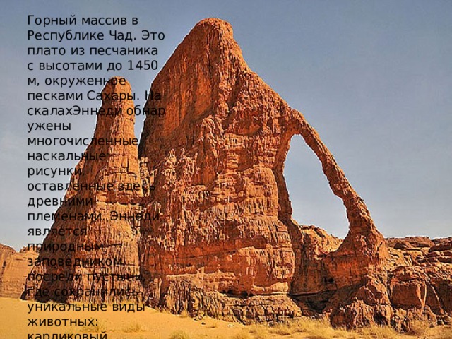 Эннеди Горный массив в Республике Чад. Это плато из песчаника с высотами до 1450 м, окруженное песками Сахары. На скалахЭннеди обнаружены многочисленные наскальные рисунки, оставленные здесь древними племенами. Эннеди является природным заповедником посреди пустыни, где сохранились уникальные виды животных: карликовый нильский, сернобыки, сахарские львы. 