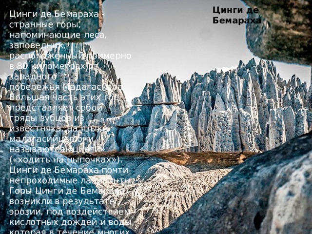 Цинги де Бемараха - странные горы, напоминающие леса, заповедник, расположенный примерно в 80 километрах от западного побережья Мадагаскара. Большая часть этих гор представляет собой гряды зубцов из известняка, на языке малагасийцев они называются «цинги» («ходить на цыпочках»). Цинги де Бемараха почти непроходимые лабиринты. Горы Цинги де Бемараха возникли в результате эрозии, под воздействием кислотных дождей и воды, которая в течение многих веков растворяла меловые пласты. Со временем это привело к образованию 30-метровых игл известняка. Цинги де Бемараха 