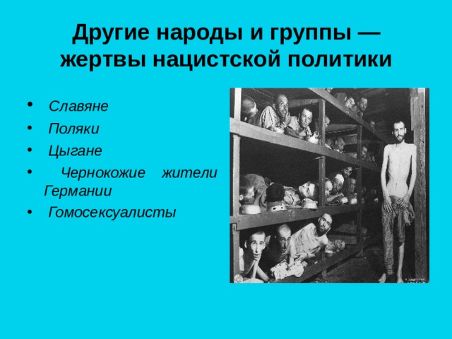 Другие народы и группы — жертвы нацистской политики    Славяне  Поляки  Цыгане  Чернокожие жители Германии  Гомосексуалисты 