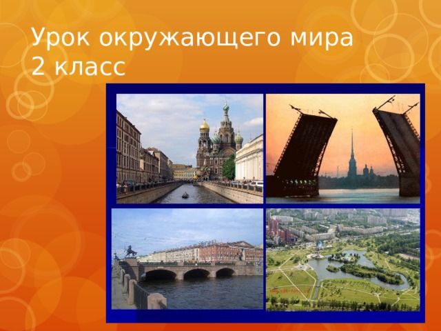 Урок окружающего мира  2 класс 