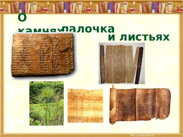 О камнях, палочках и листьях 